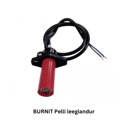 burnit-pelli-leegiandur.jpg